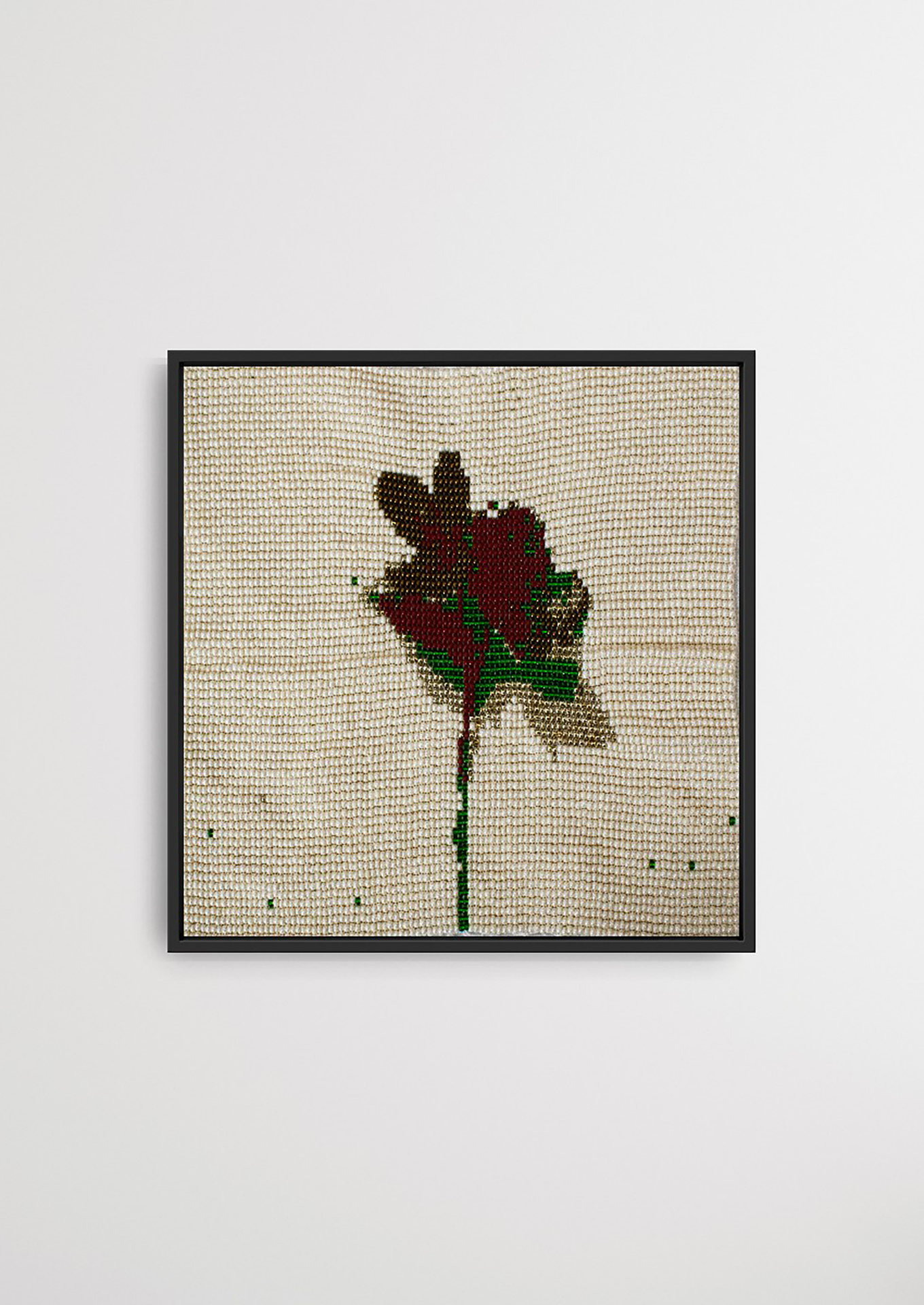 When the wind blows, it blooms