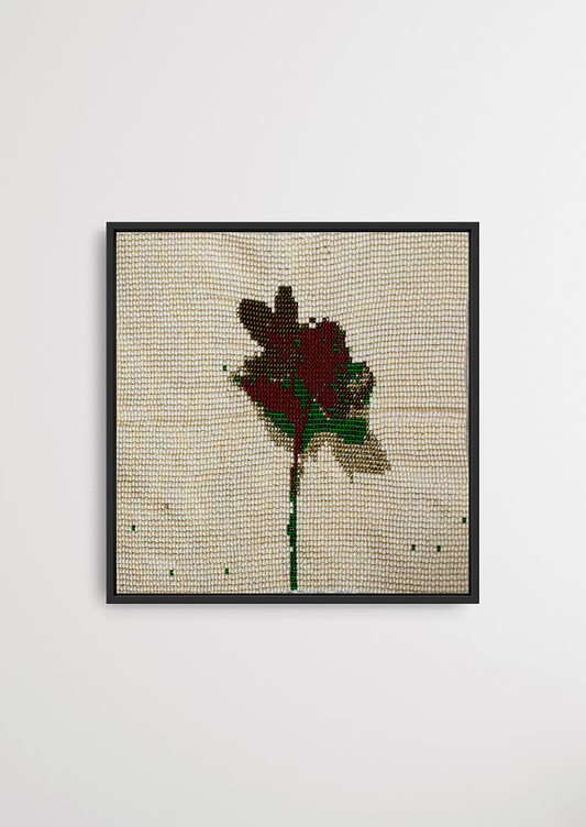 When the wind blows, it blooms